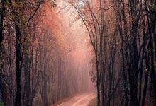 关于门兴格拉德巴赫客场大胜法甲球队的信息